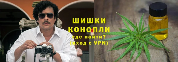 дмт Алексин
