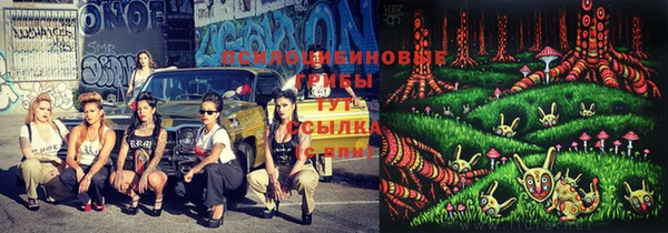 дмт Алексин