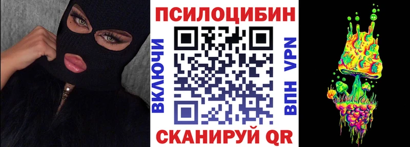 Псилоцибиновые грибы Psilocybe  дарк нет как зайти  Мирный 